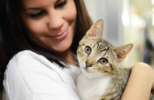 cat care general cat care body1 right 11zon
